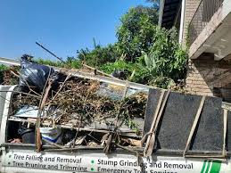 Recycling Services for Junk in Gages Lake, IL